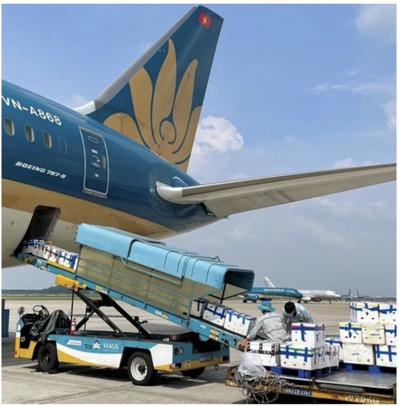 Airexpress vận chuyển thú cưng đường bay