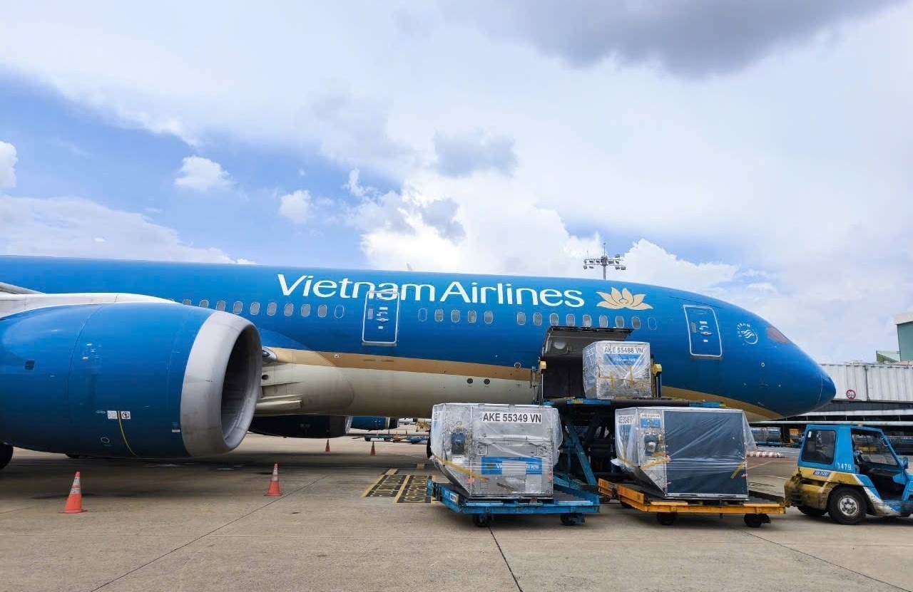 Vận chuyển thú cưng đường bay Airexpress