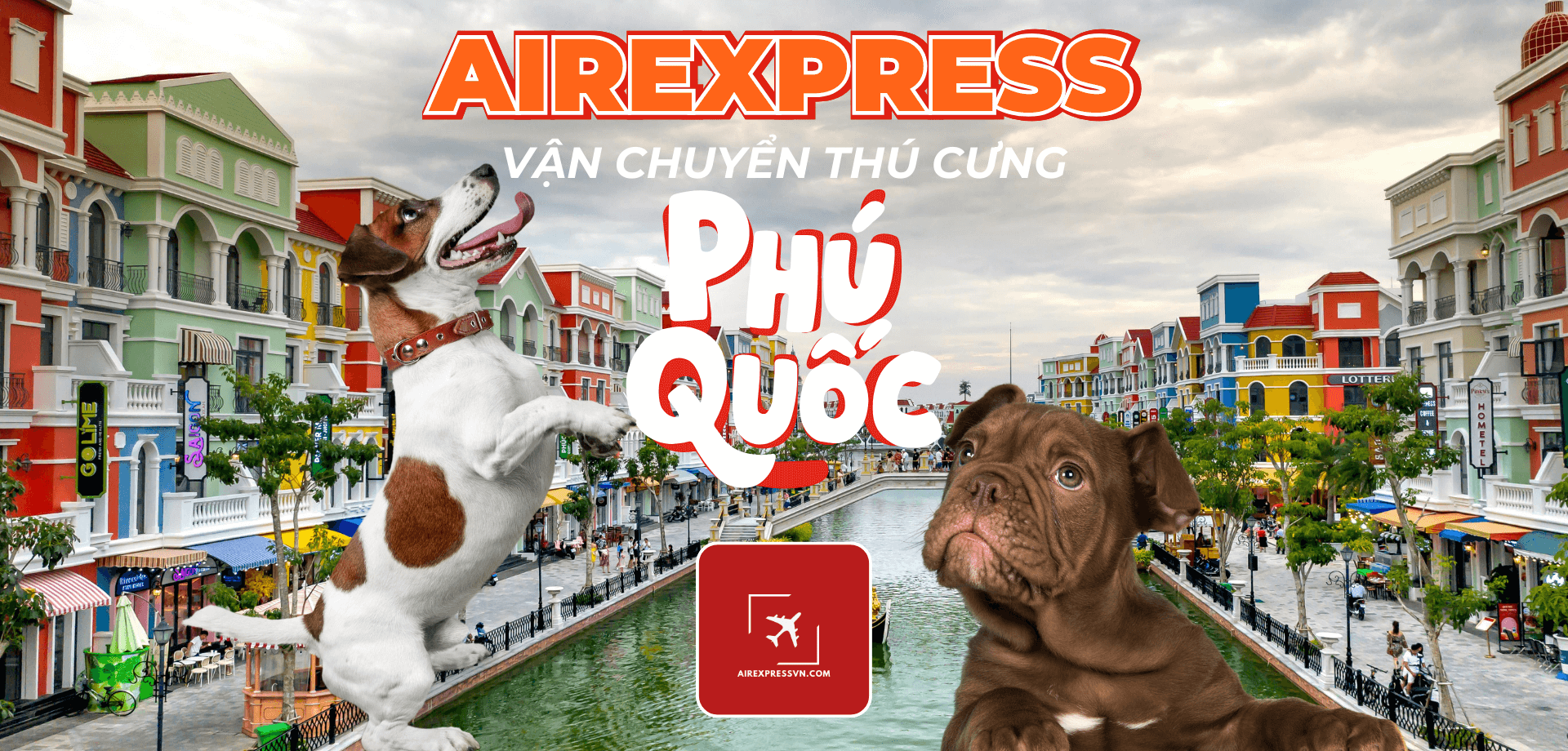 Vận chuyển thú cưng Phú Quốc Sài Gòn