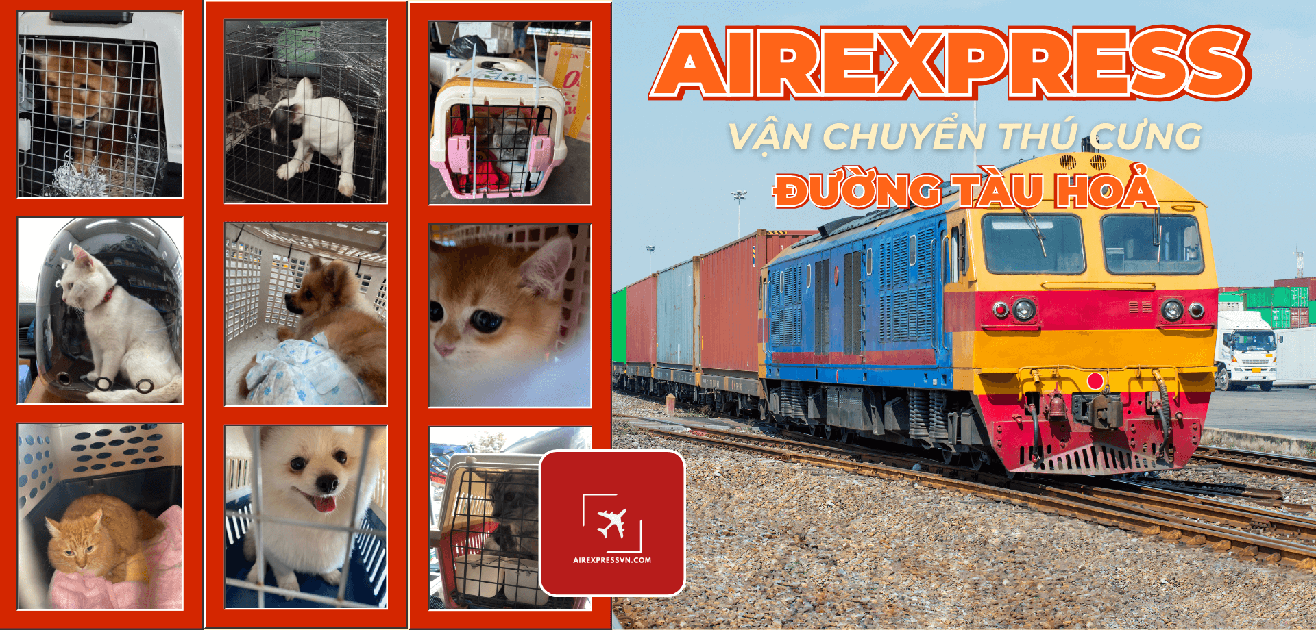 Quy Trình Vận Chuyển thú Cưng đường tàu