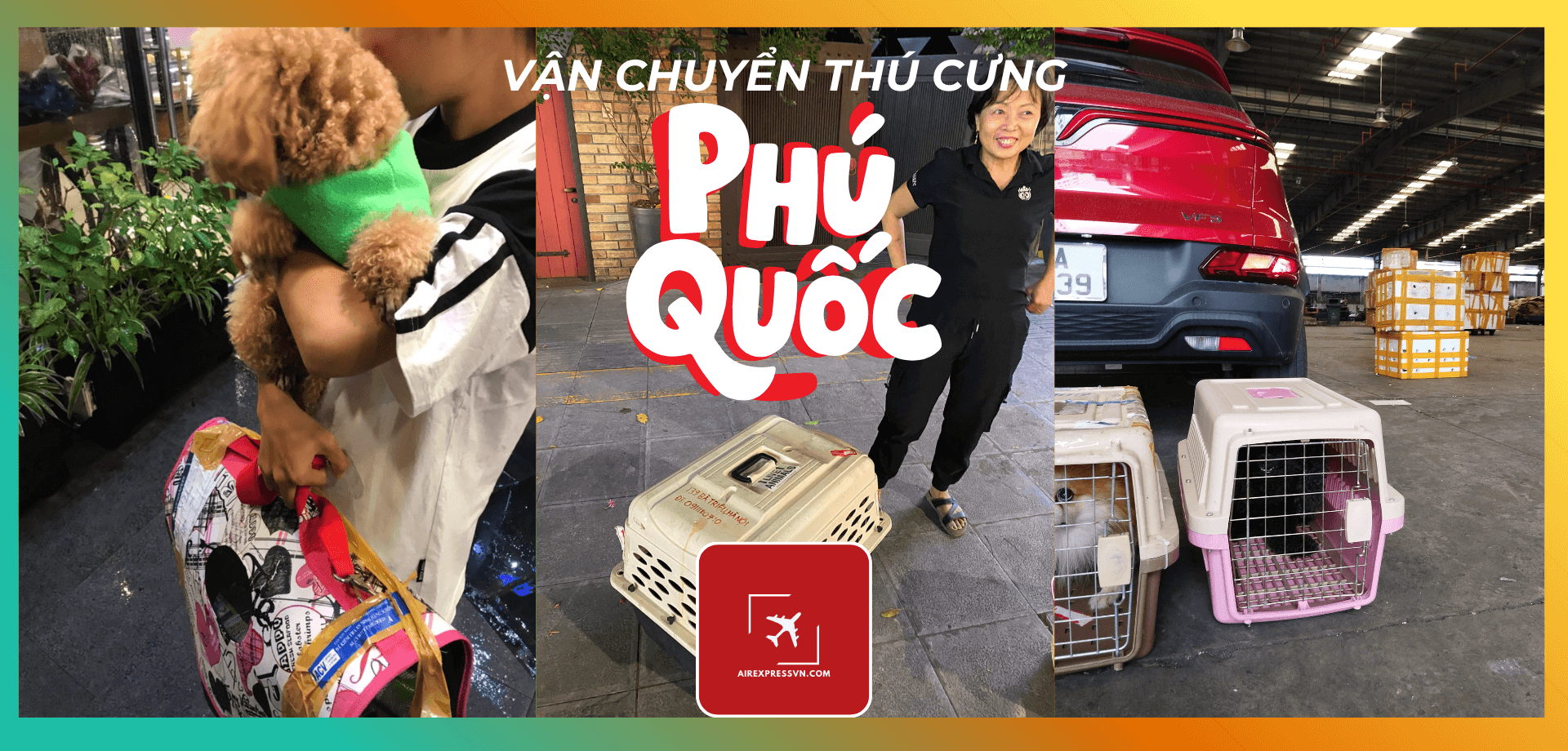 Thủ tục Vận chuyển thú cưng Phú Quốc