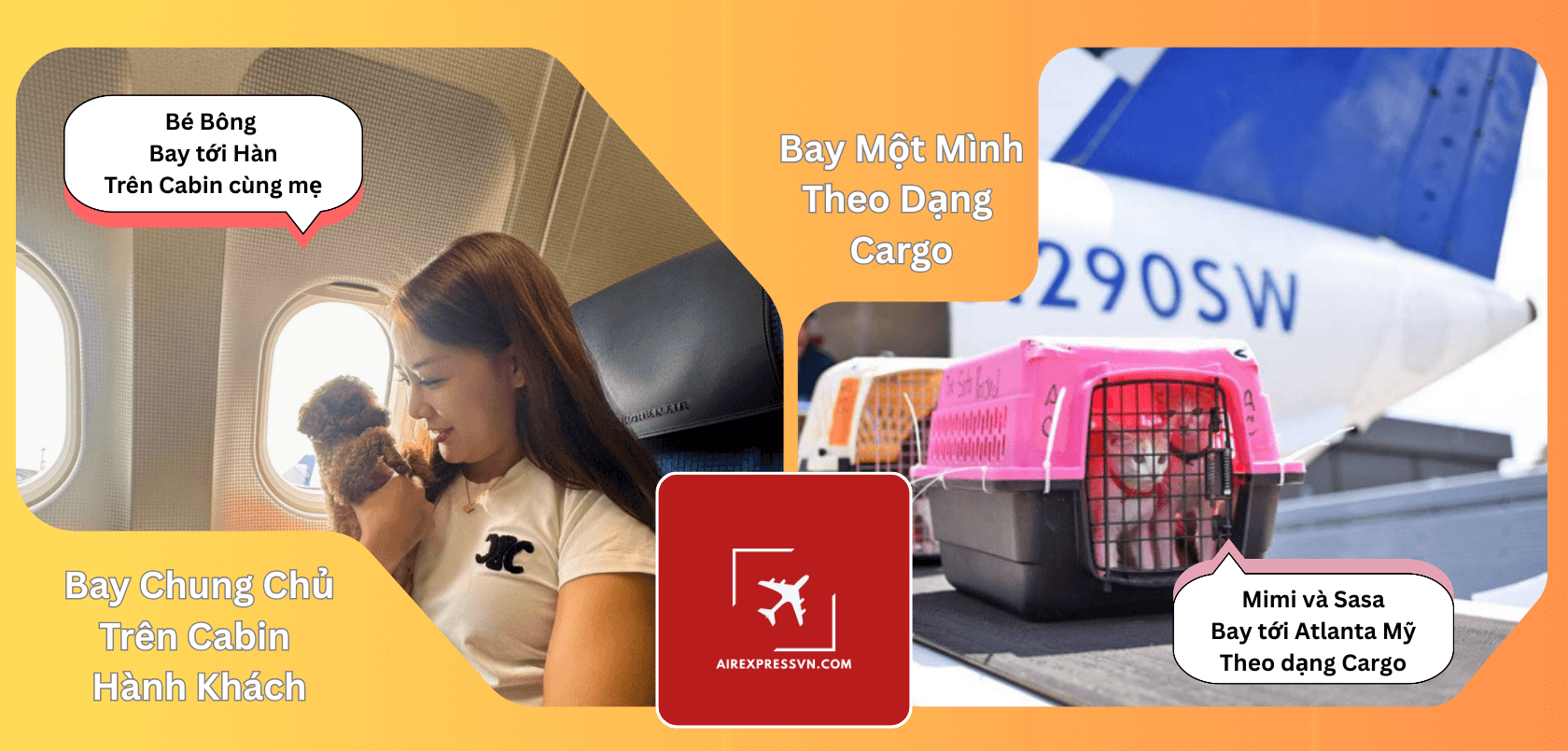 Vận Chuyển Thú Cưng Quốc Tế