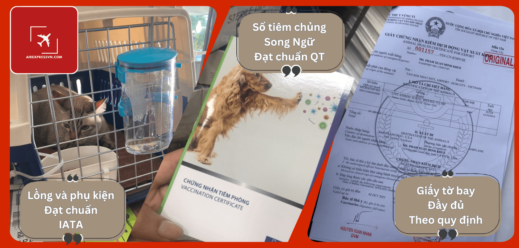 Vận chuyển thú cưng quốc tế chi tiết