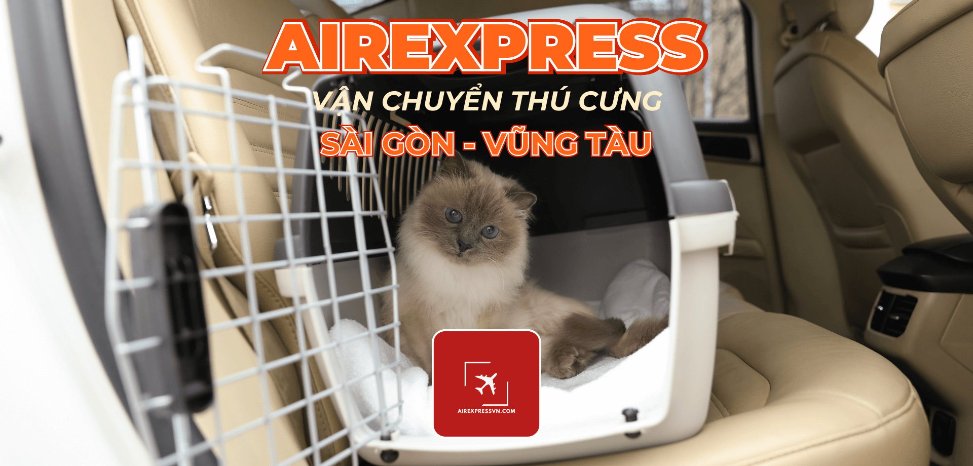 Vận chuyển Thú Cưng Vũng Tàu