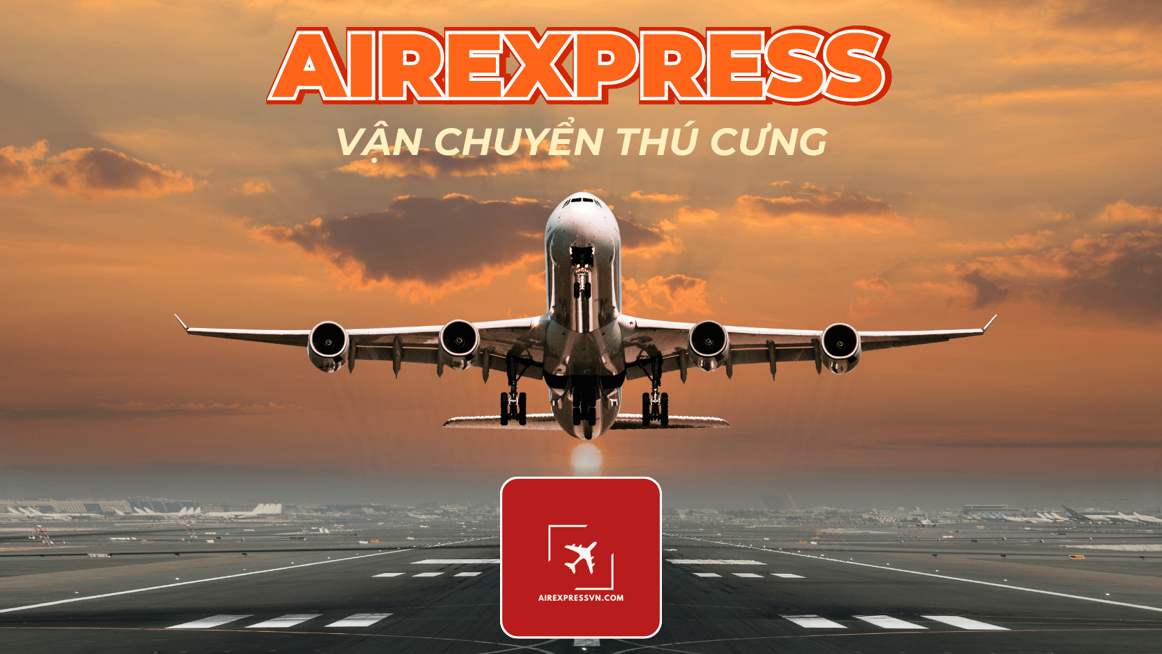 Vận chuyển thú cưng Airexpress