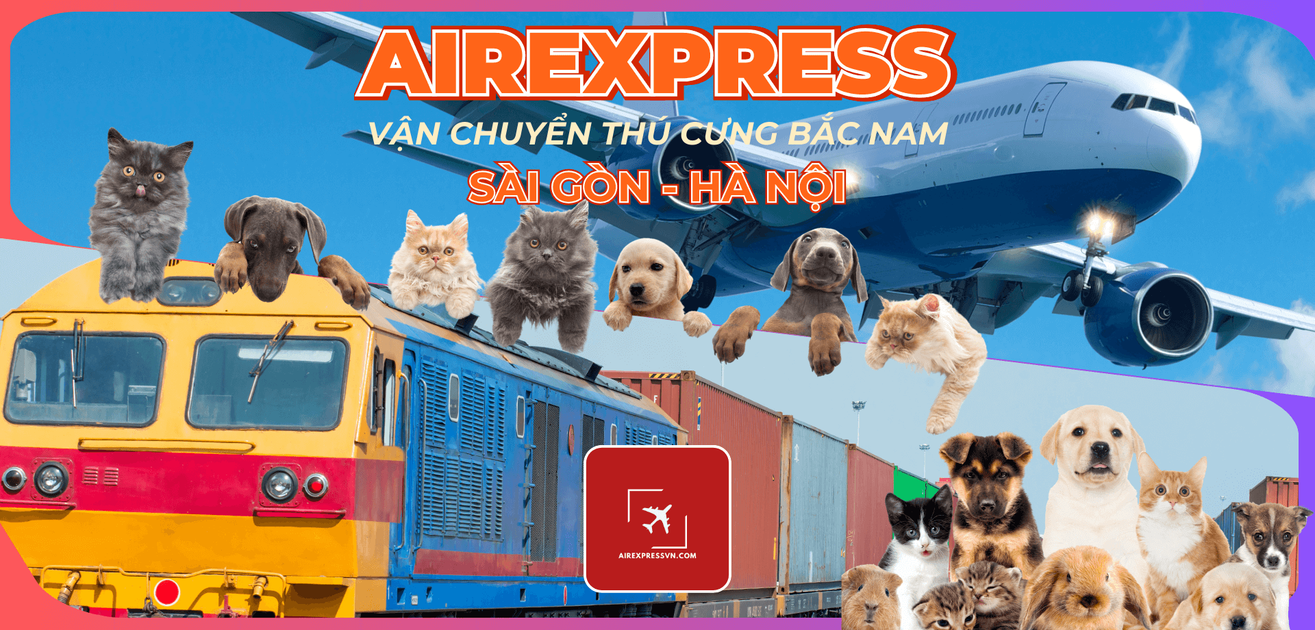 Vận chuyển thú cưng bắc nam cùng airexpress